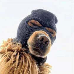 Ski Mask Dog Logo