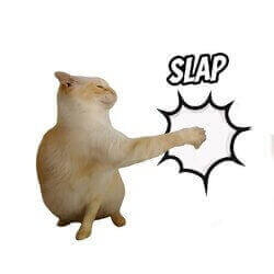 Slap cat लोगो