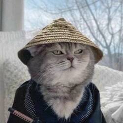 Samurai Cat लोगो