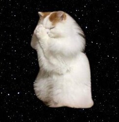 conviction मूल्य का पूर्वानुमान