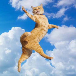 So Much Higher लोगो