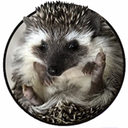 Shrub Price Prediction