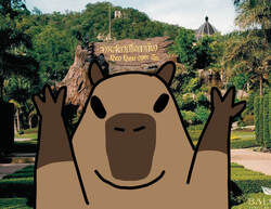 Kapi Plara मूल्य का पूर्वानुमान