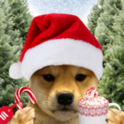 Wifmas मूल्य का पूर्वानुमान