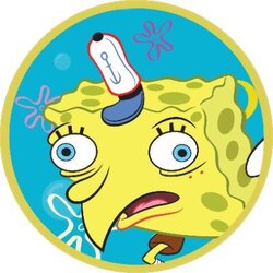 Sponge Price Prediction