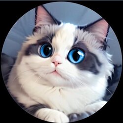 Huhu Cat मूल्य का पूर्वानुमान