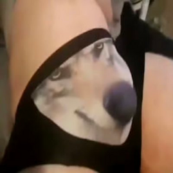 WolfWifBallz Price Prediction