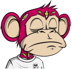 jungle bay memes मूल्य का पूर्वानुमान