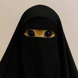 Burkat मूल्य का पूर्वानुमान