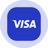 Visa (VON) टोकन का अर्थशास्त्र