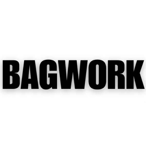 BAGWORK/KZT: Bagwork (BAGWORK) to Kazakhstani Tenge (KZT) <br />Converter & Calculator
