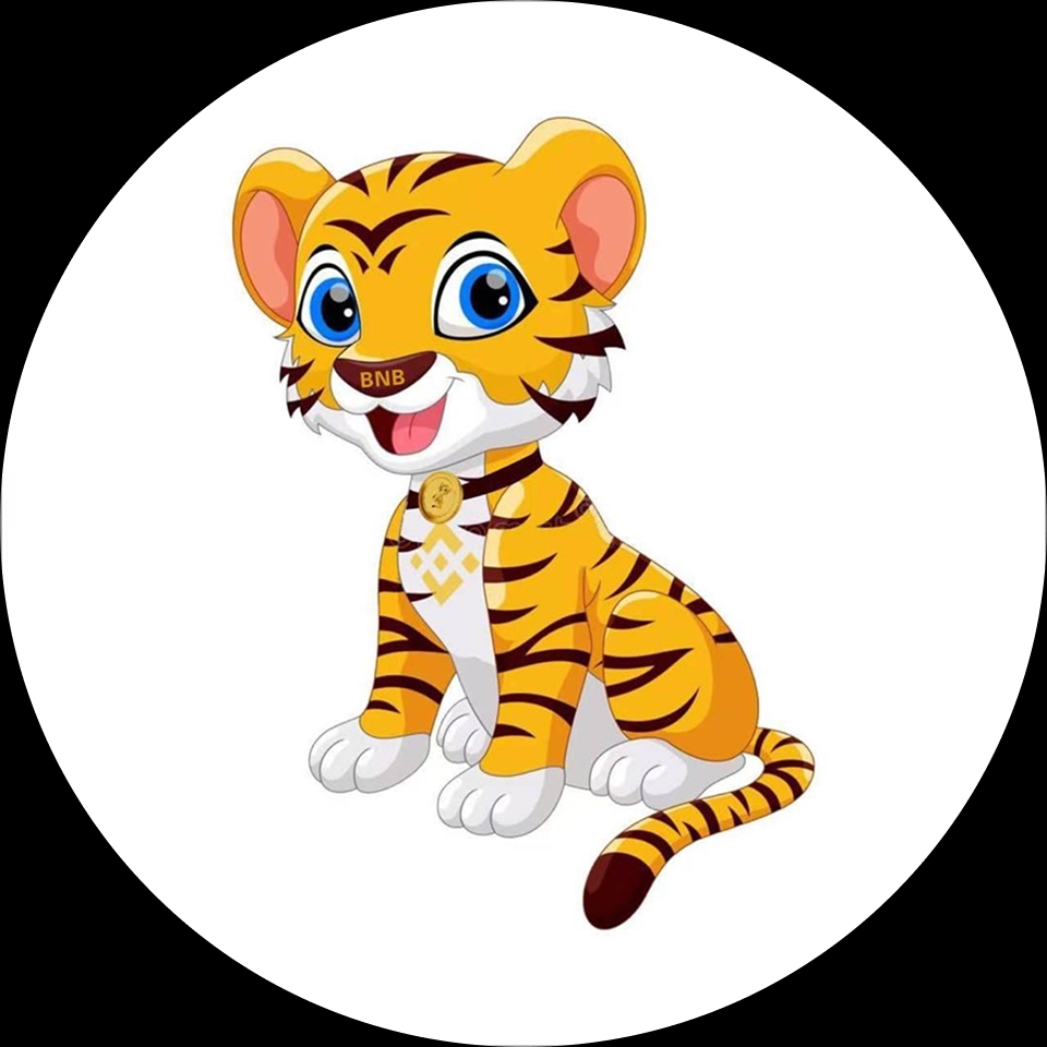 Bnb Tiger Inu