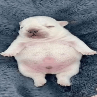 PIBBLE/AZN: Pibble (PIBBLE) से Azerbaijani Manat (AZN) <br />कनवर्टर और कैलकुलेटर