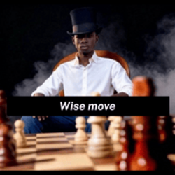 wise move Logo