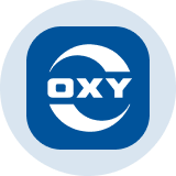 Occidental Petroleum (OXYON) Tokenomics