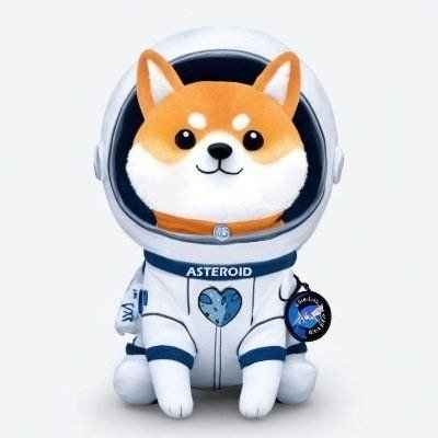 ASTEROID SHIBA Logo