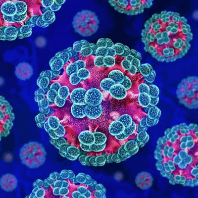 Hantavirus Logo