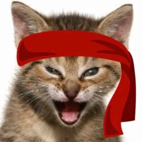Red Kitten Crew