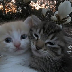 Together