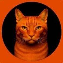 BILLI Logo