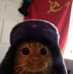 Communist Cat Logo