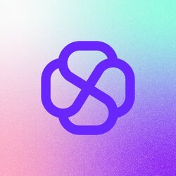 Self Chain Logo