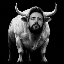 The White Bull Logosu
