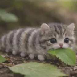 CATerpillar
