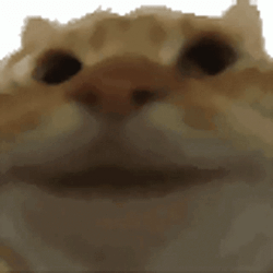 yepcat Logosu