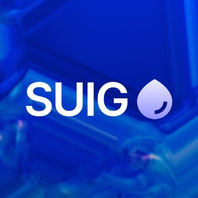 Sui Group Holdings Limited