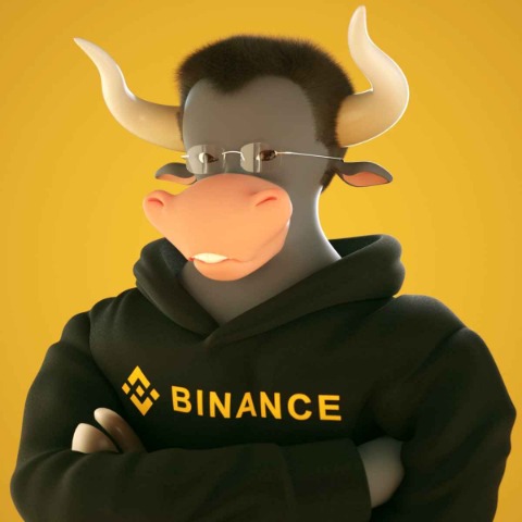 The Final Form Bull Logo