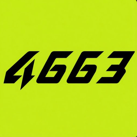 4663