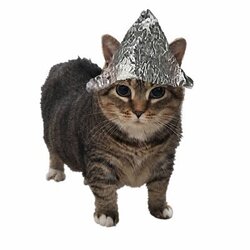 psyopcat Logosu