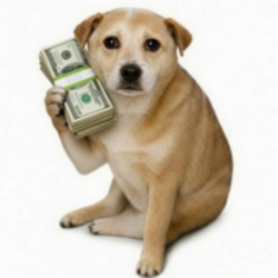 CashDog Logo