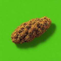 Nuggies लोगो