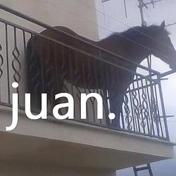 juan Price Prediction