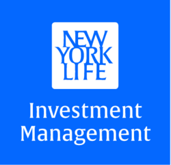 NYLIM US High Yield Bond Fund Logo