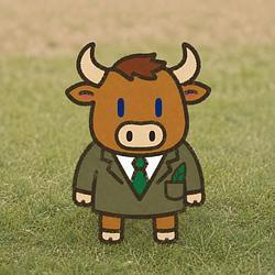 Pump the Bull Price Prediction