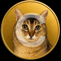Cogecoin Price Prediction
