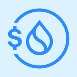 USDsui Logosu