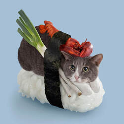 sushicat Logo