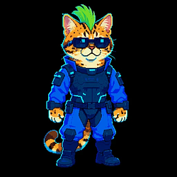 Cybercat Price Prediction