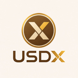 USDX Logosu