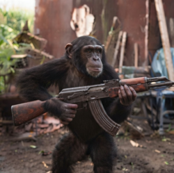 APE WITH GUN (APEGUN) Tokenomics