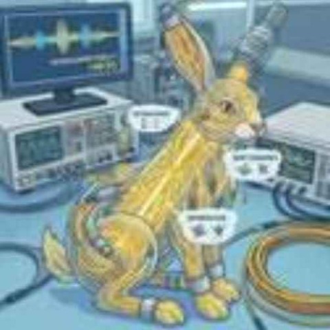 Quantum White Rabbit Logo