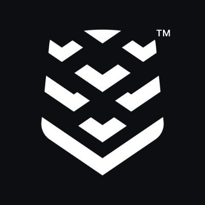 Swarmer, Inc.