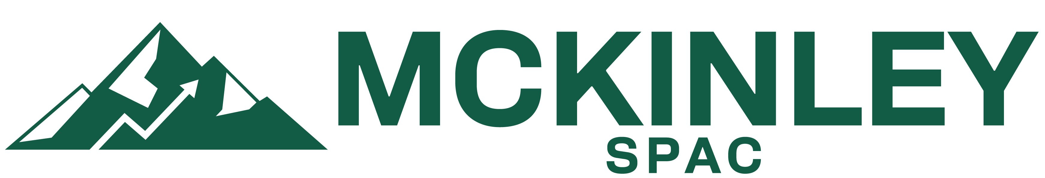 McKinley Acquisition Corporation