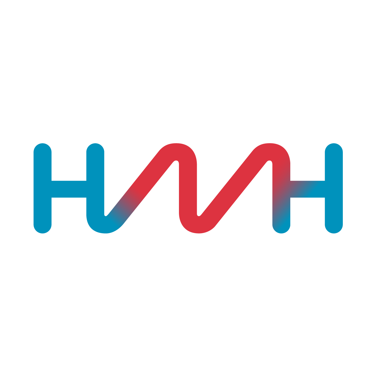 HMH Holding Inc.