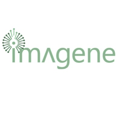 ImageneBio, Inc.