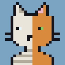 Quantum Cats